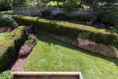 IMG_2206-copy